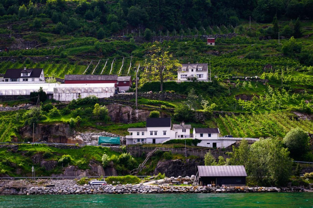 Fjord House Villa Grimo Exteriör bild